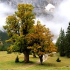 Ziehende Wolken über dem Kleinen Ahornboden