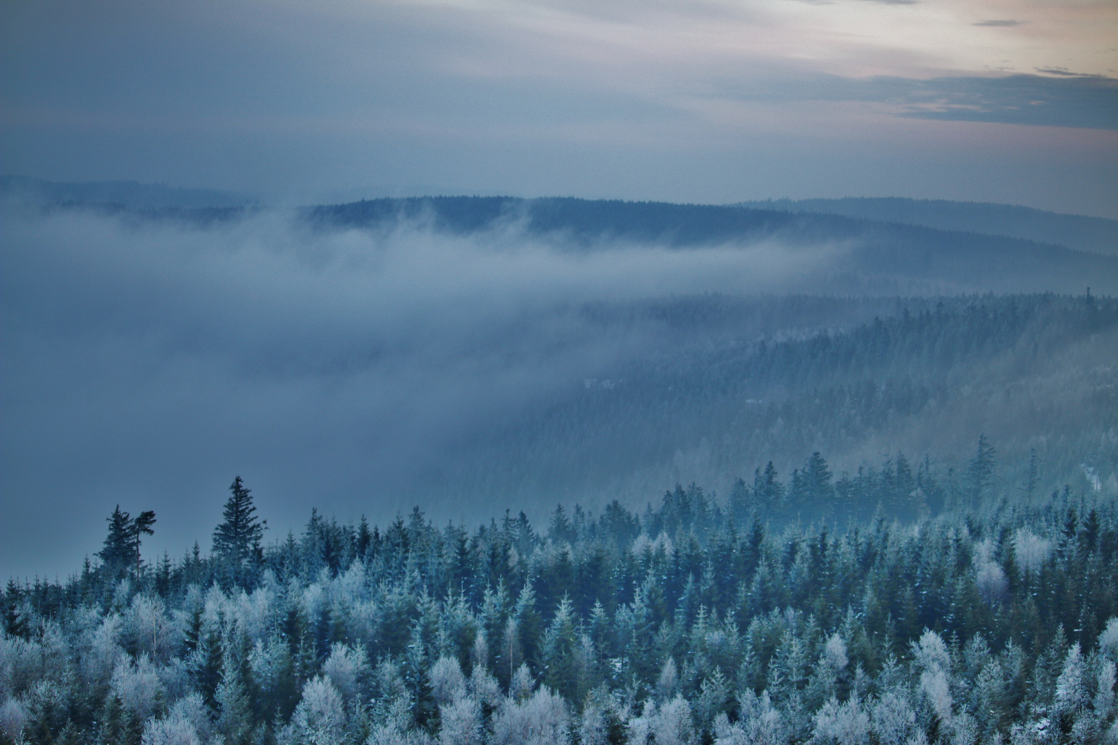 Ziehender Morgennebel über Raureifwäldern...