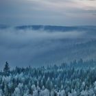 Ziehender Morgennebel über Raureifwäldern...