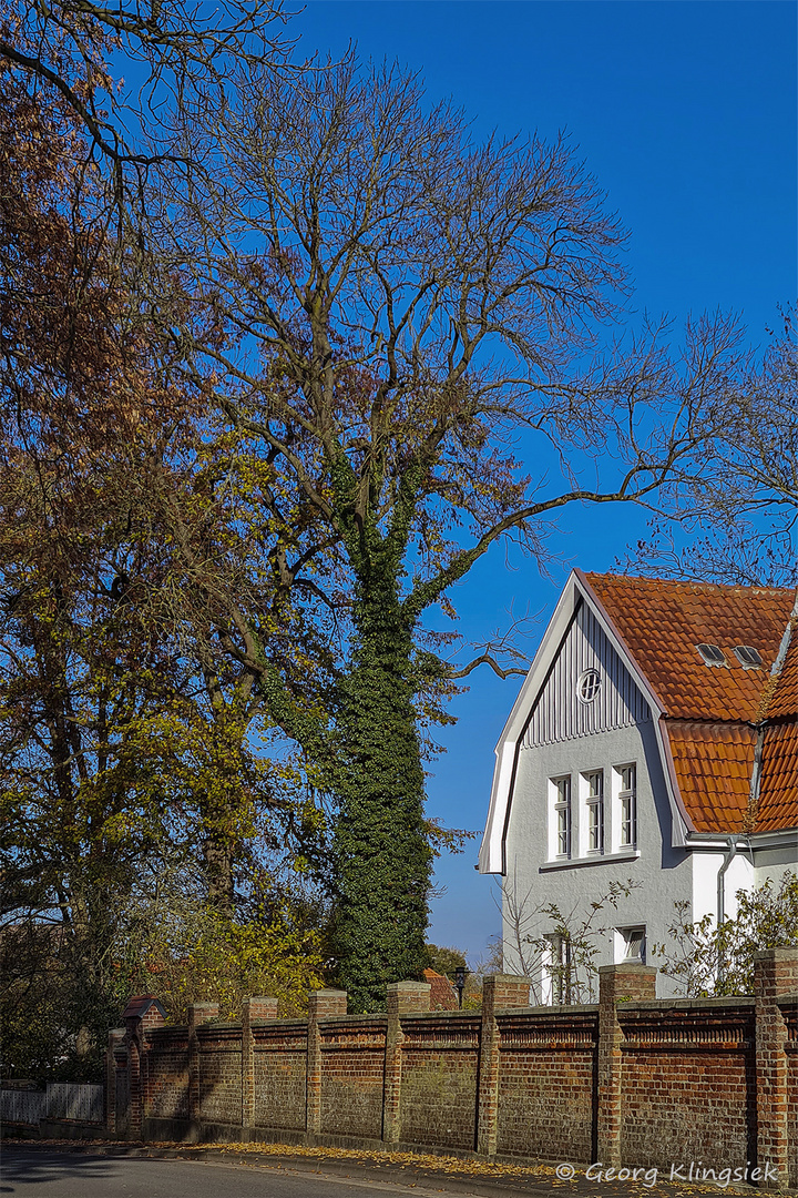 Zieht euch warm an - wie dieser Baum! 