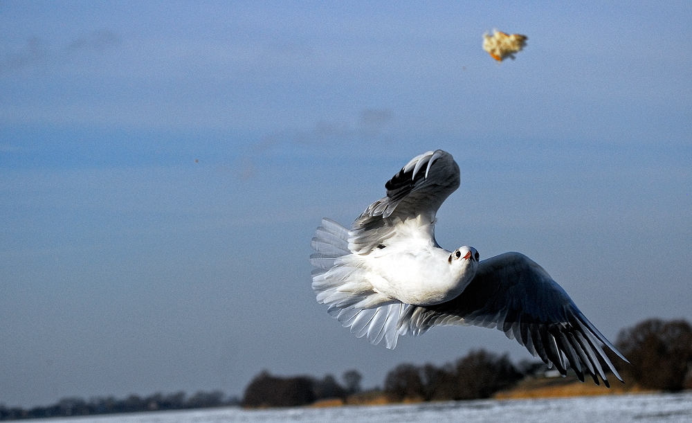 Zielanflug