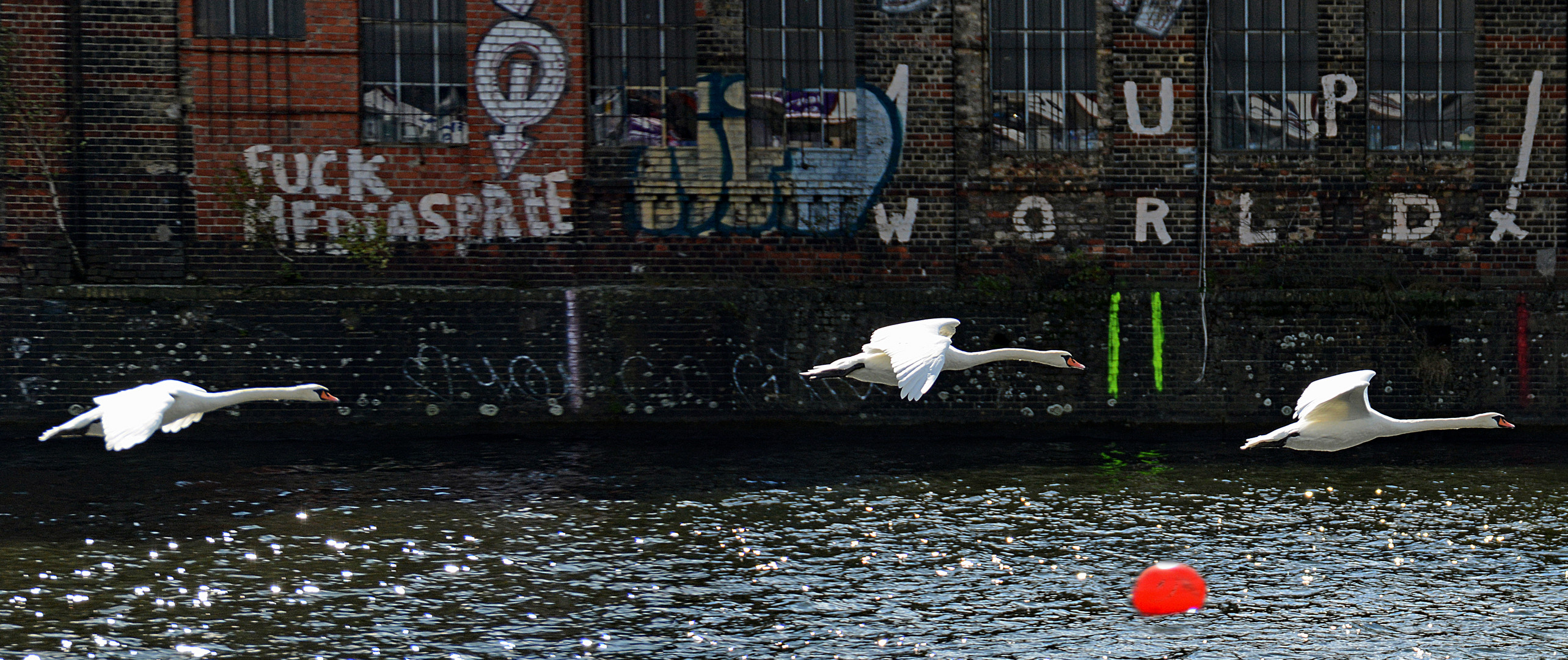 Zieleinflug in Berlin