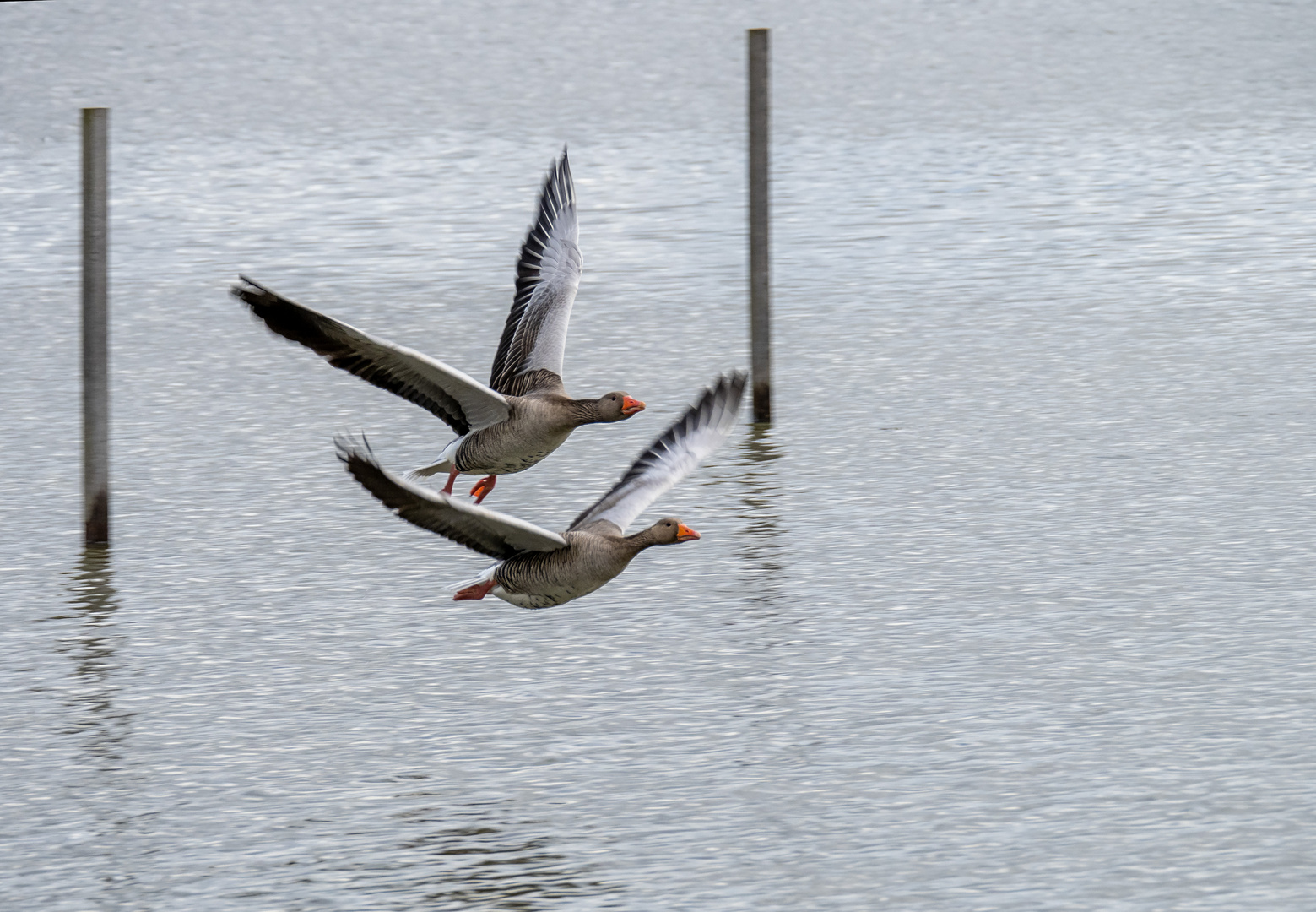 Zielflug