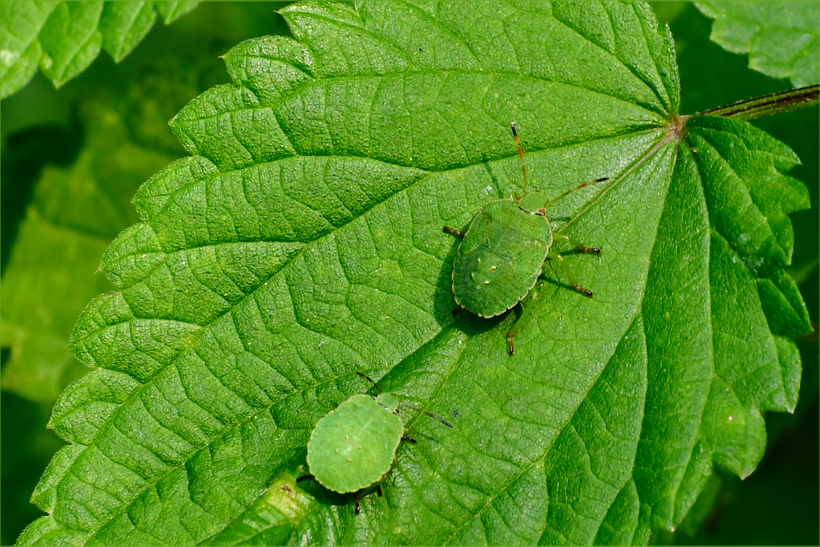 zielstrebig unterwegs