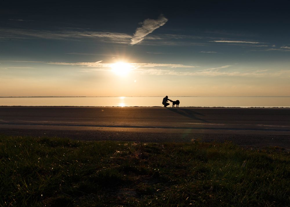 ziemlich beste Freunde... Foto & Bild | wasser, hunde ...