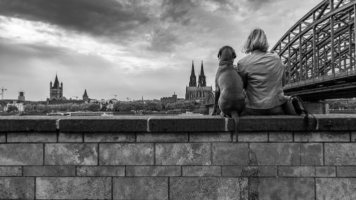 Ziemlich beste Freunde