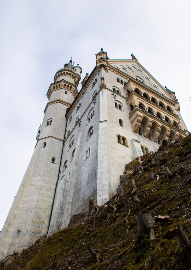 ziemlich hoch für Rapunzel...