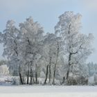 Ziemlich Weihnachtlich