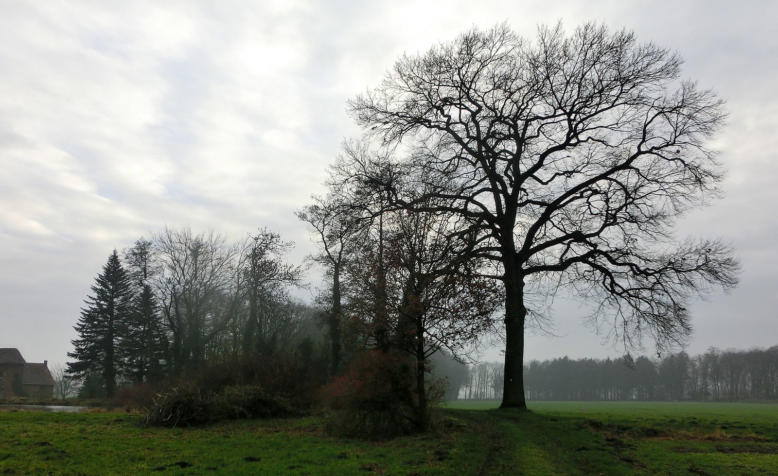 Ziemlich winterlicher Eindruck.