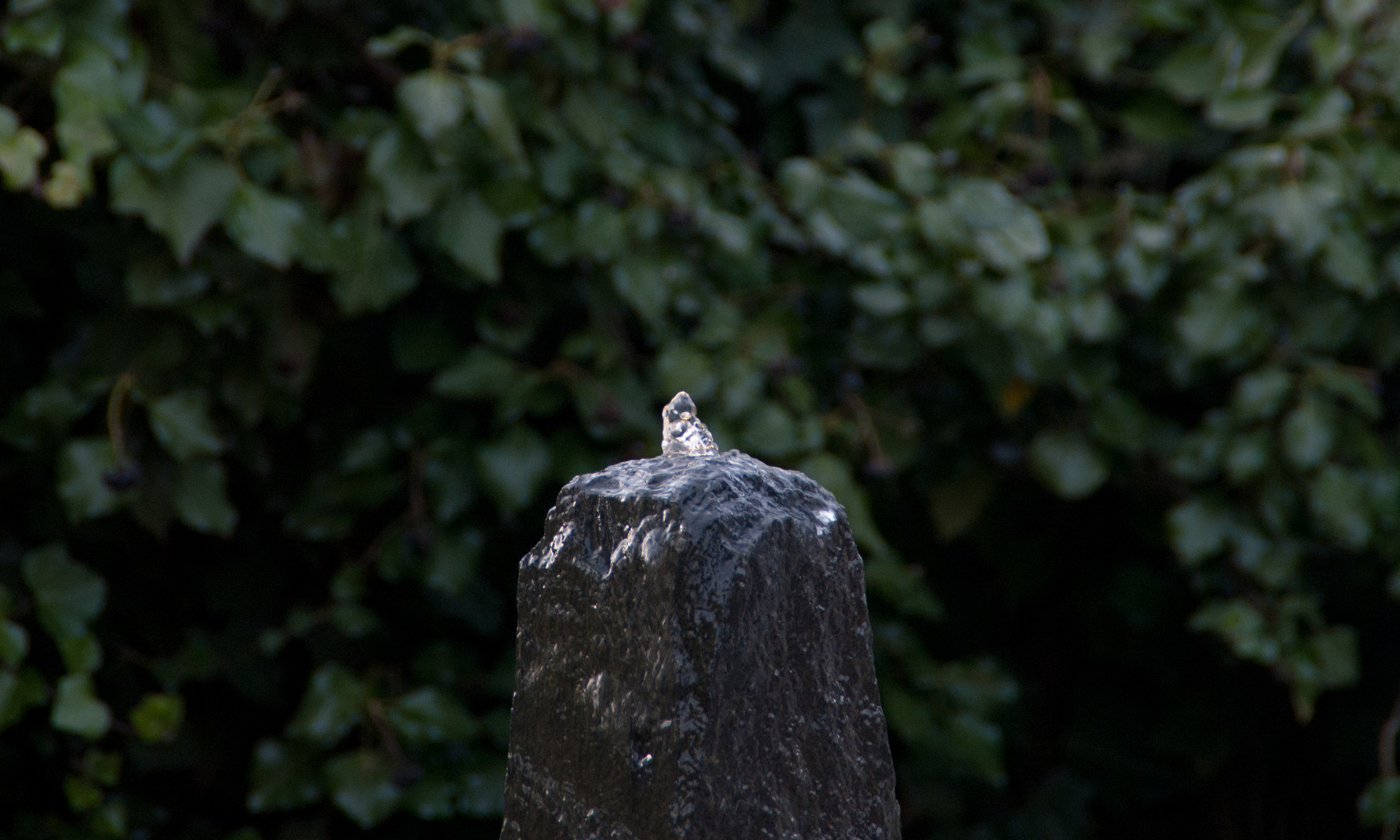 Zierbrunnen im Steingarten