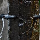 Zierbrunnen in einer Kleinstadt im Sauerland