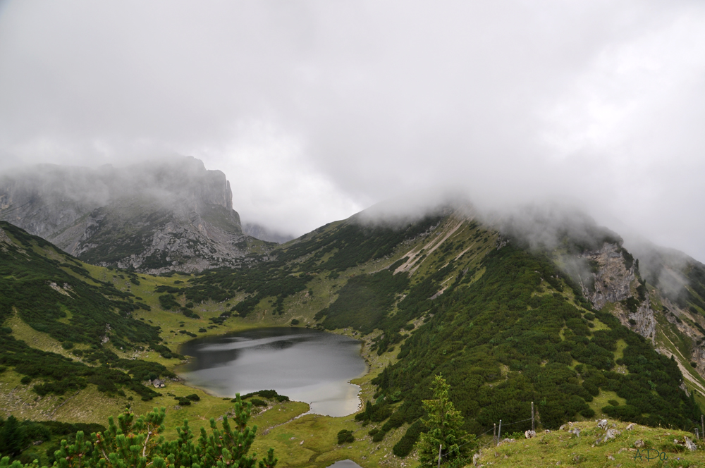 Ziereiner See