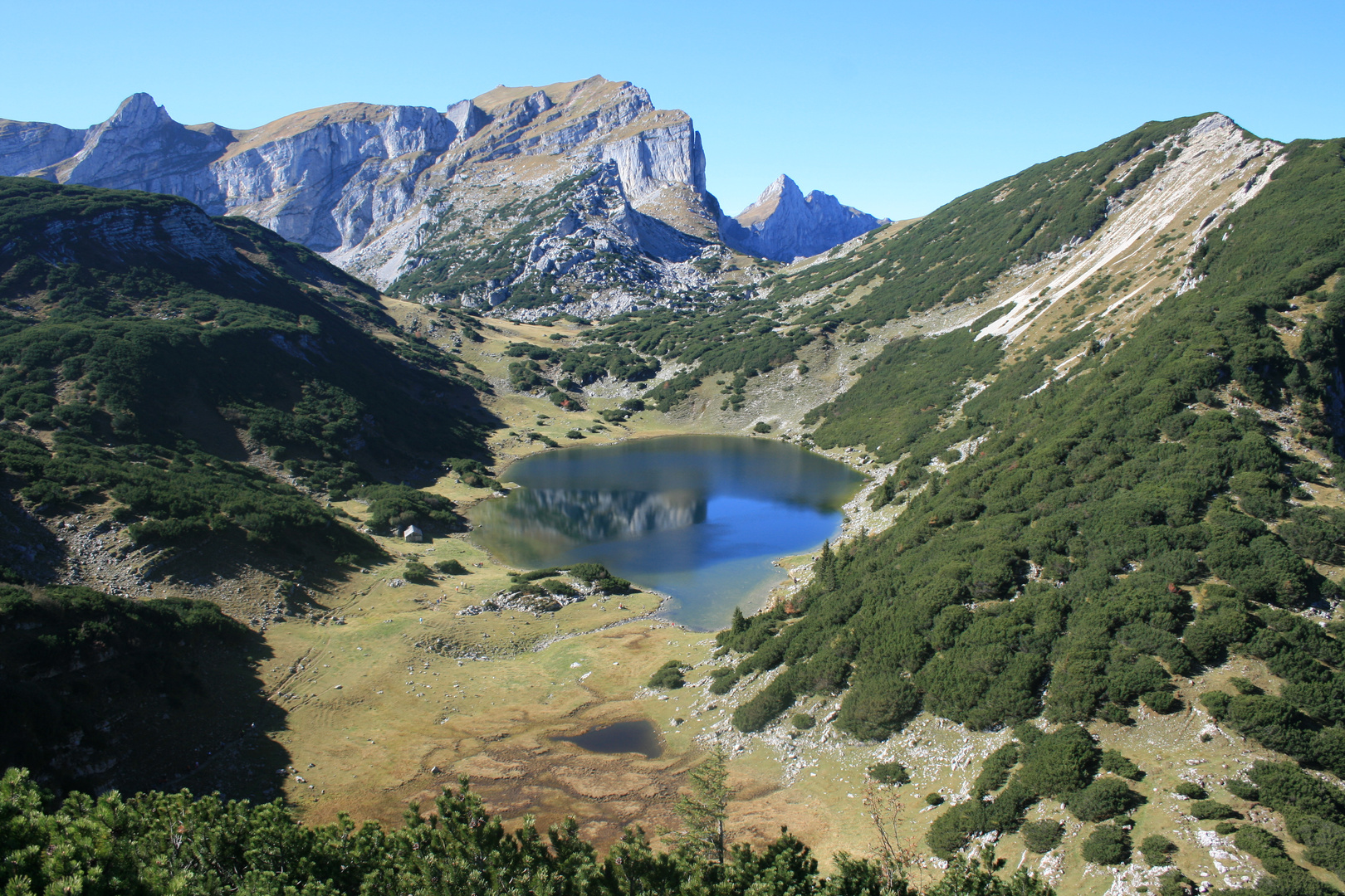 Ziereiner See