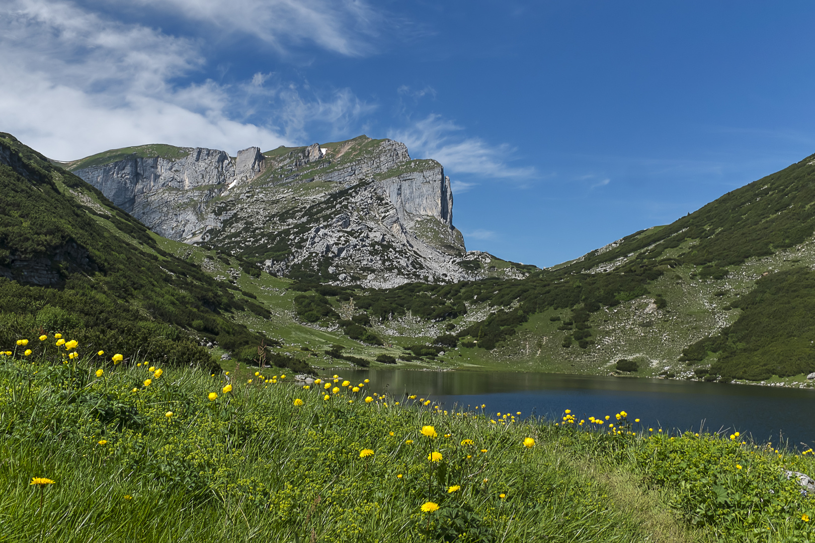 Ziereinersee