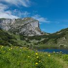 Ziereinersee