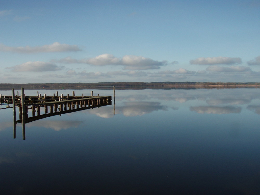 Zierker See bei Neustrelitz (Mecklenburg-Vorpommern)