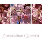Zierkirschen-Quintett...