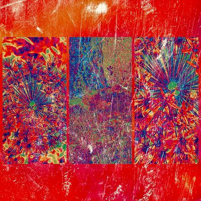 Zierlauch abstrakte Kreation