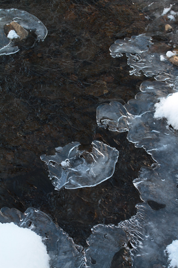 zierliche Eisflächen auf dem Schlierbach Januar 2012