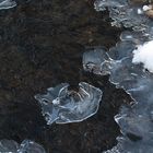 zierliche Eisflächen auf dem Schlierbach Januar 2012