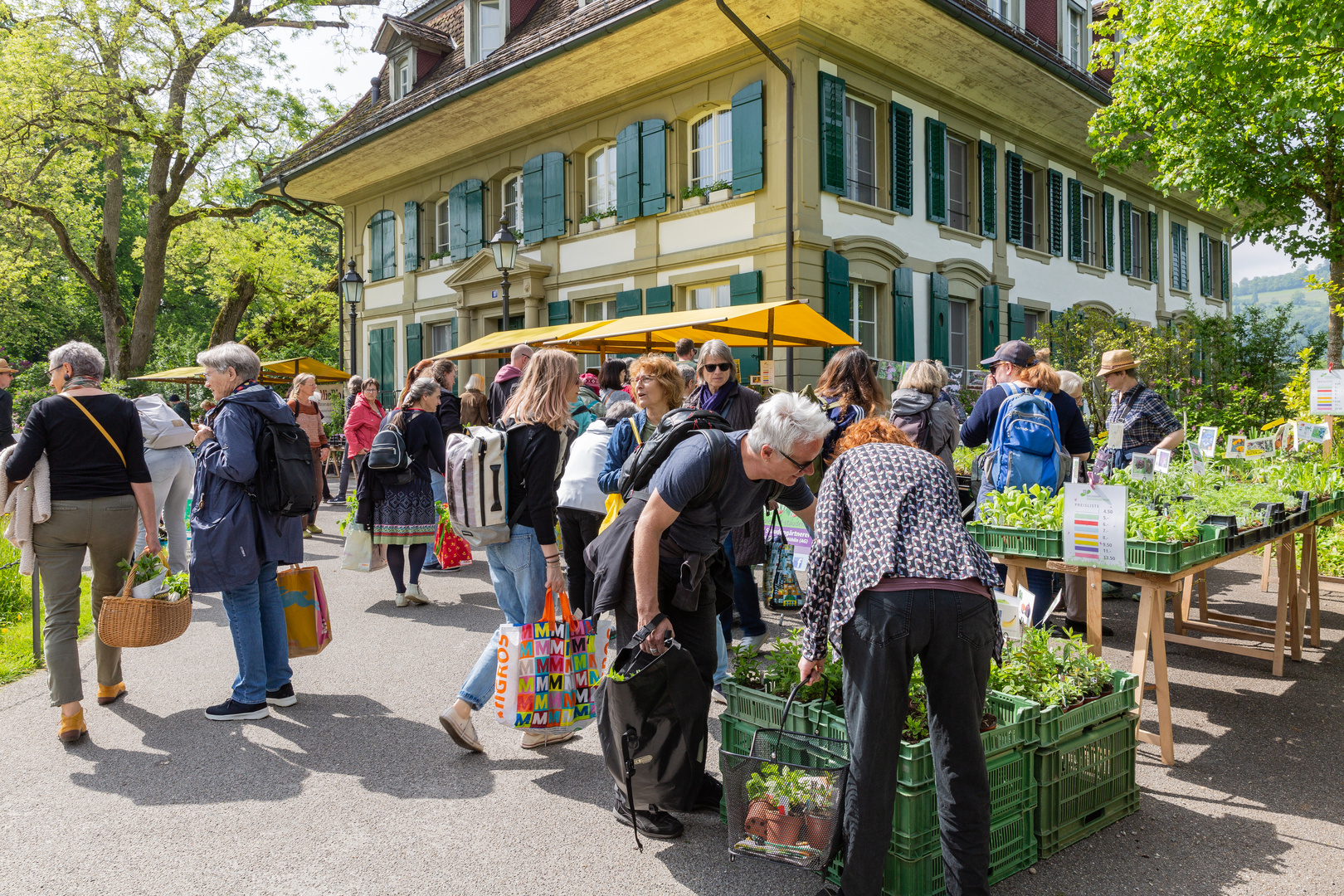 Zierpflanzenmarkt vor geschichtsträchtiger Kulisse...