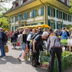 Zierpflanzenmarkt vor geschichtsträchtiger Kulisse...