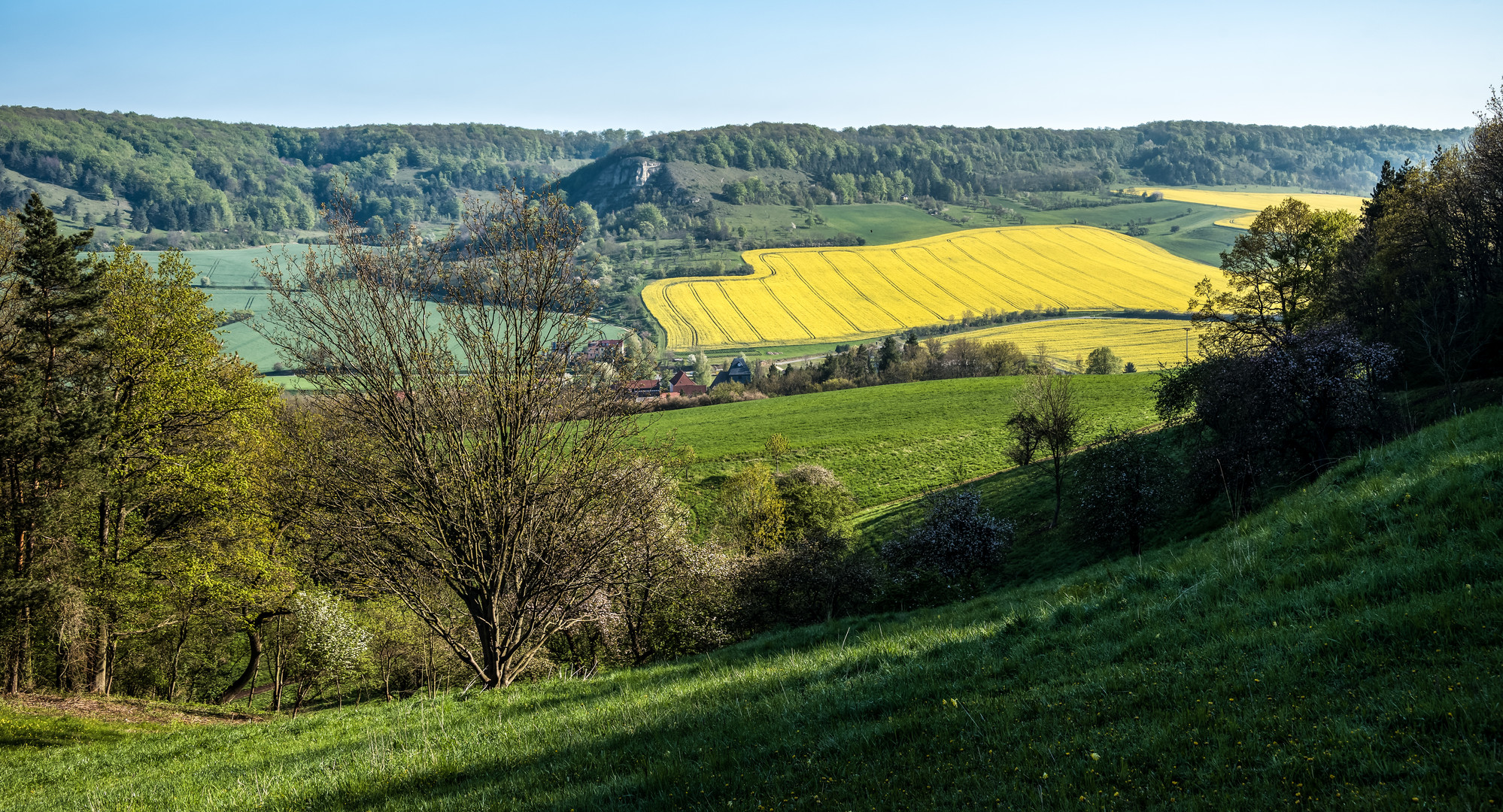 Zietschkuppe