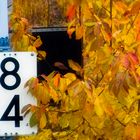 ZIFFERN IM HERBSTLICHEN UMFELD NEBEN VERGESSENEN GLEISEN