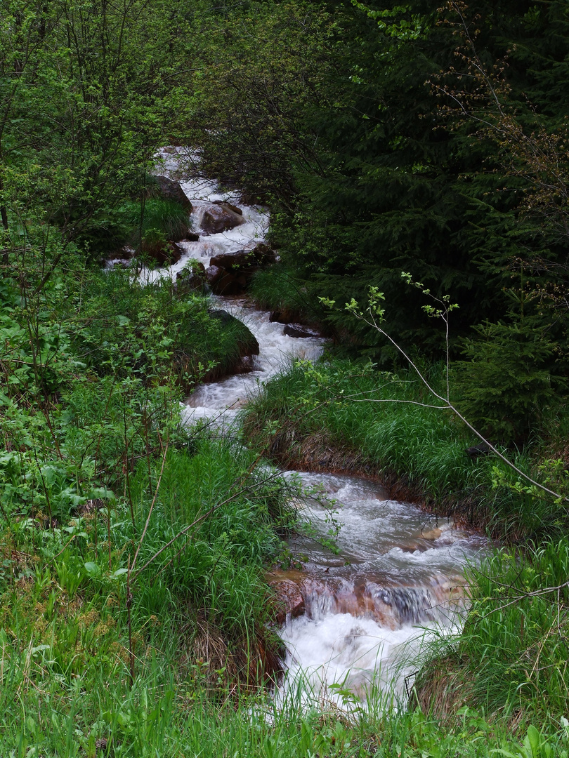 Zig Zag river