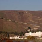 Zig zags à travers les vignes ....