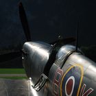 zigermeet13_spitfire