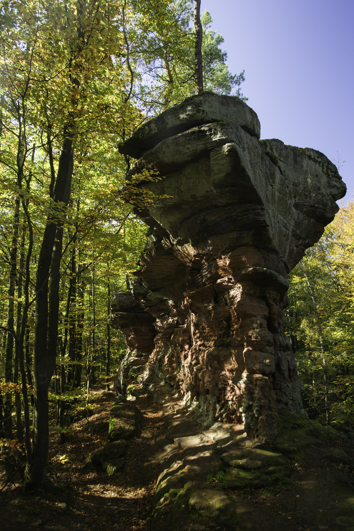 Zigeunerfelsen im Herbst