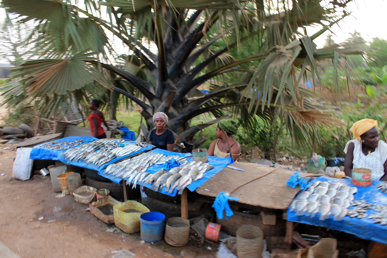 ziguinchor