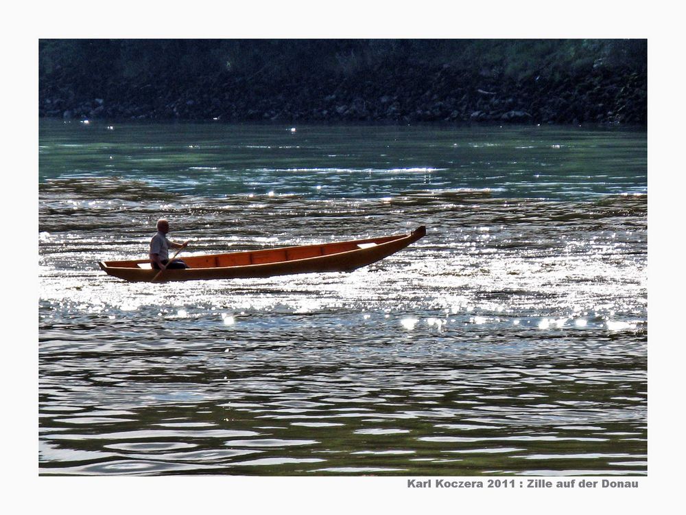 Zille auf der Donau