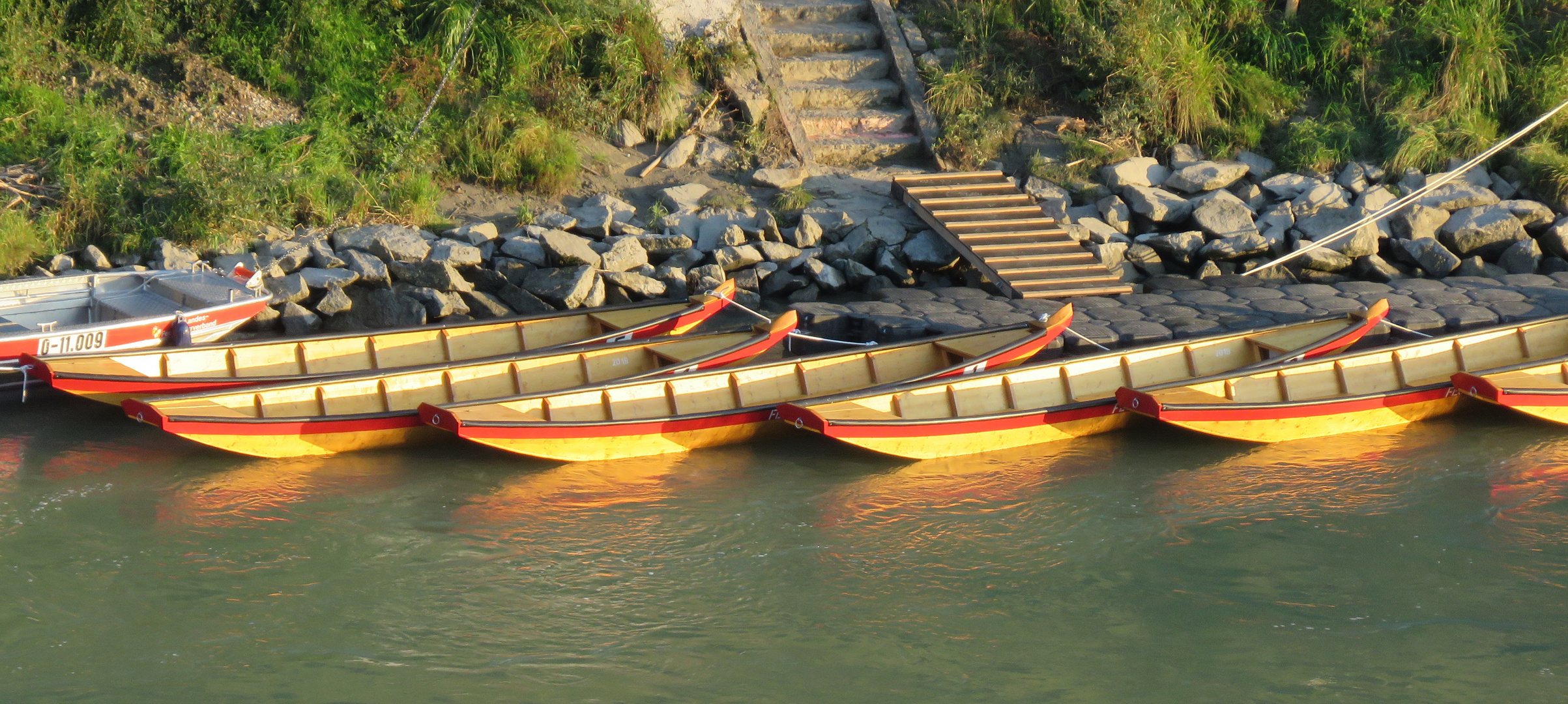 Zillen in der Salzach