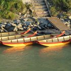 Zillen in der Salzach