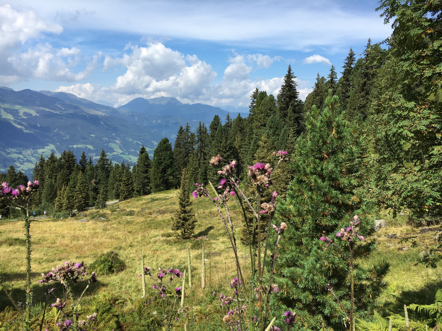 Zillertal 