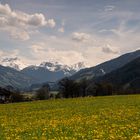 Zillertal bei Fügen