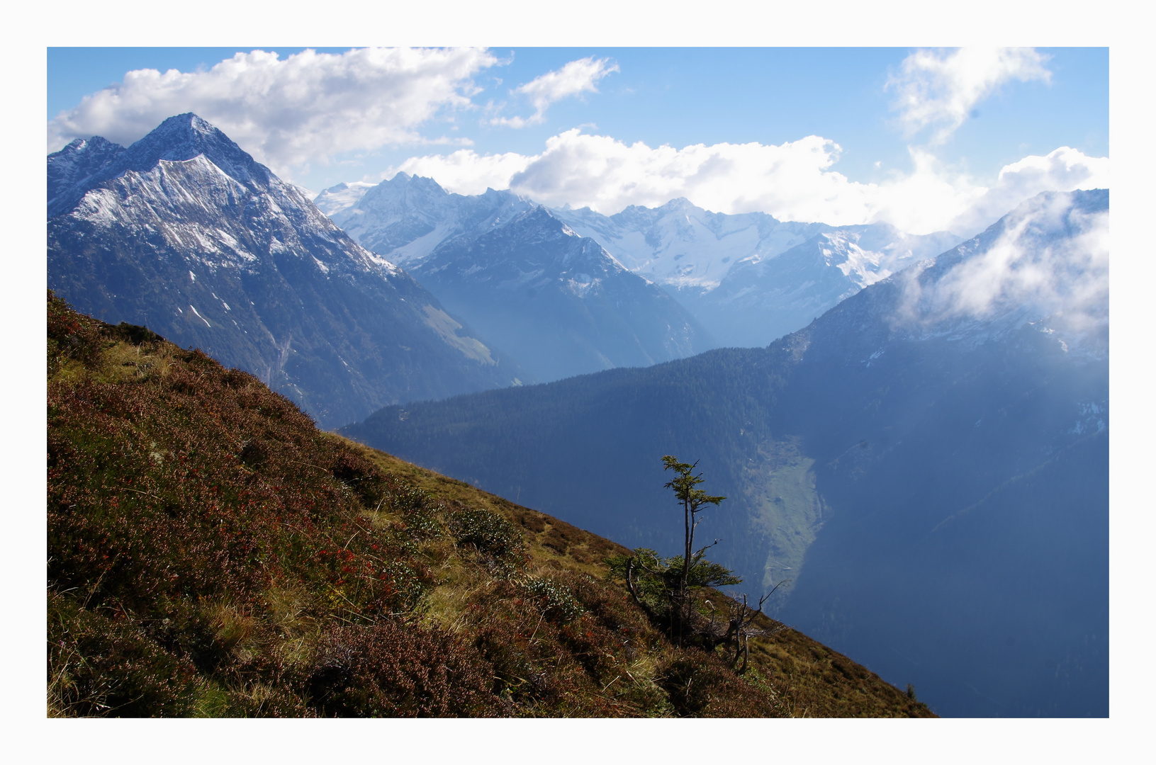 "Zillertaler Alpen"