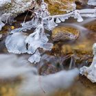 Zillhausener Wasserfall 10