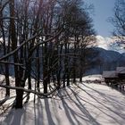 Zimmer mit Ausblick - heute Sonne