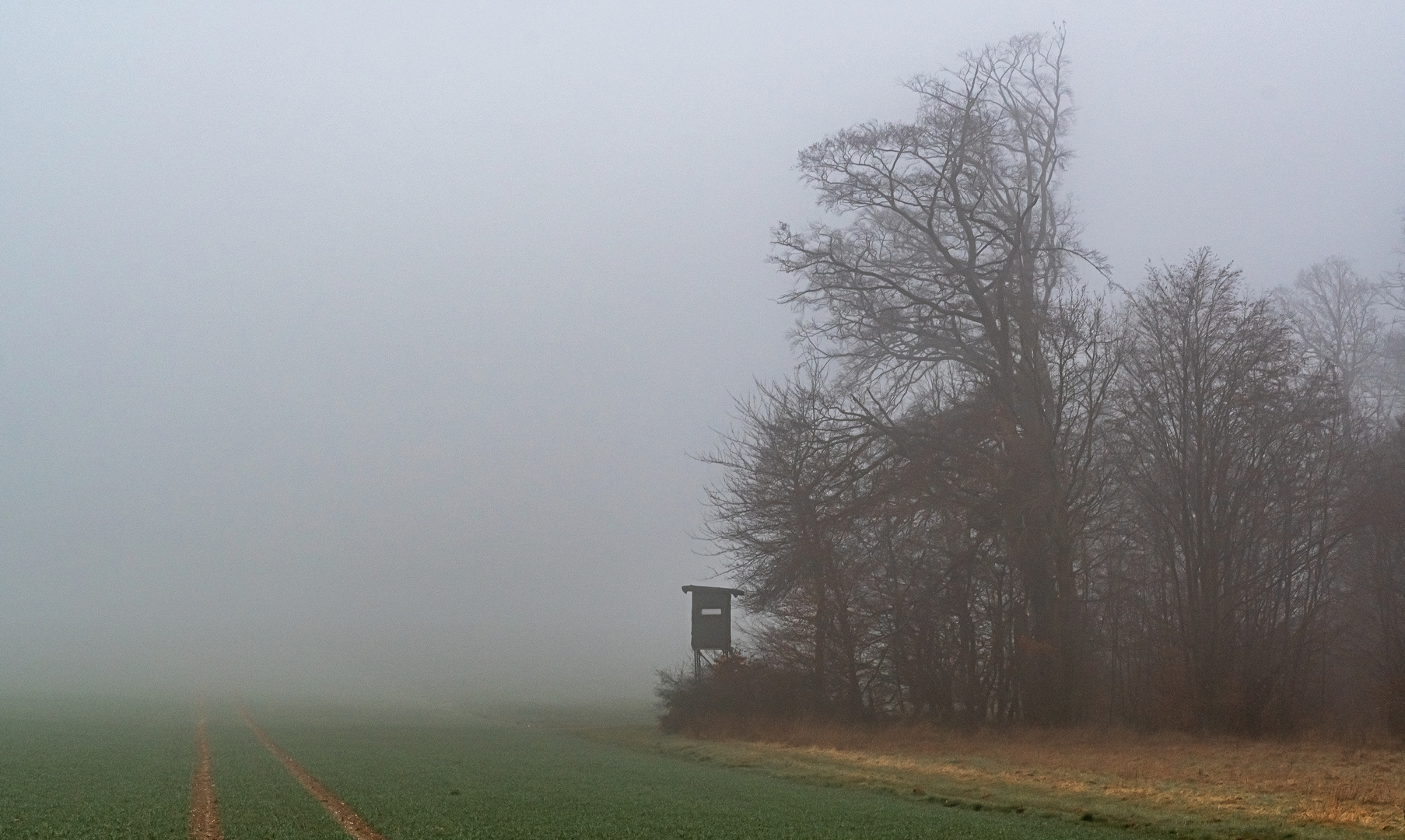 Zimmer mit Ausblick I.