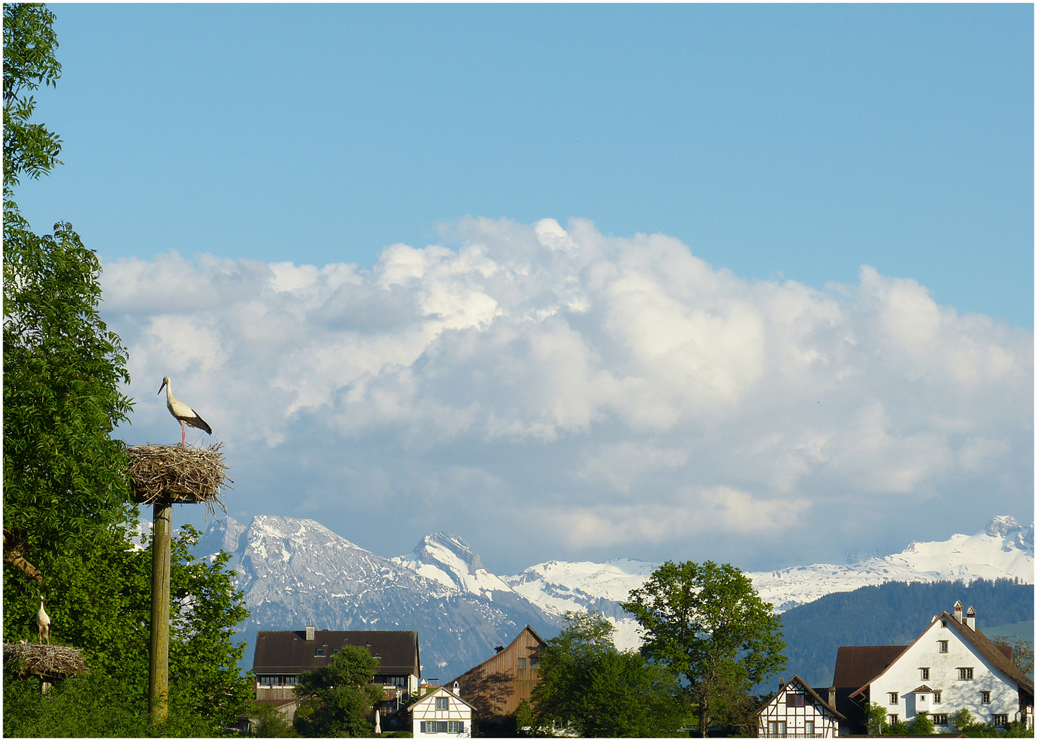 Zimmer mit Aussicht