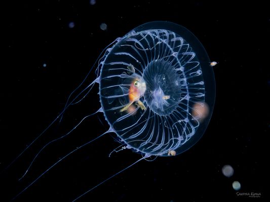 °°°Zimmer mit Aussicht II°°°