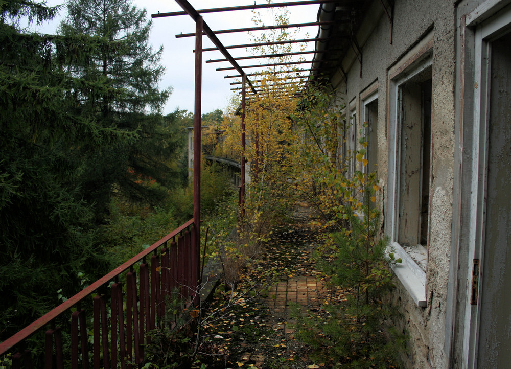 Zimmer mit Balkon und Blick in den Wald