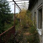 Zimmer mit Balkon und Blick in den Wald