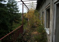 Zimmer mit Balkon und Blick in den Wald