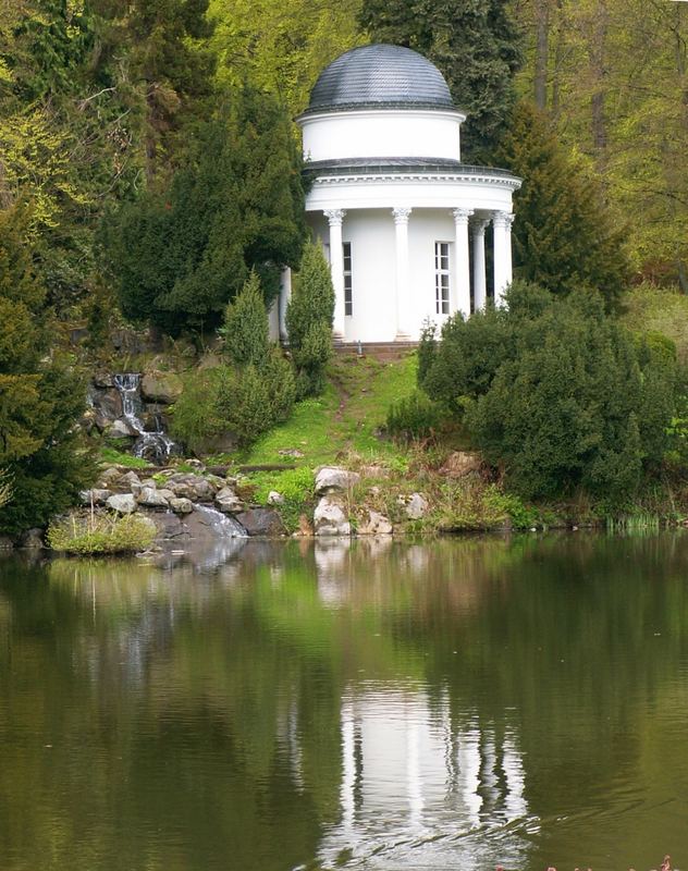 Zimmer zu vermieten