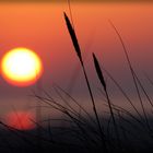 Zimt - Sonnenuntergang auf Borkum -