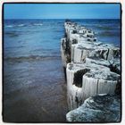 Zingst